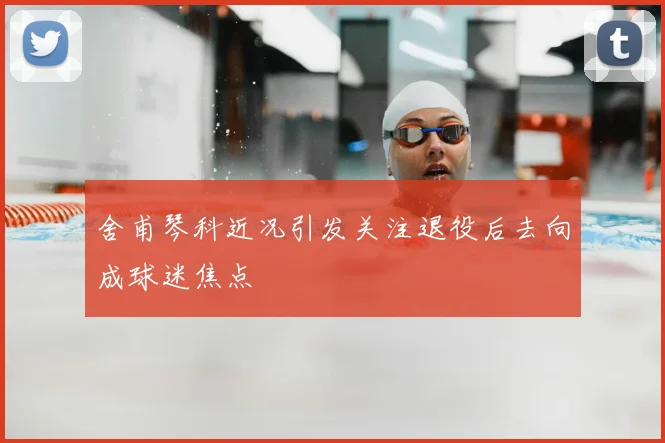 舍甫琴科近况引发关注退役后去向成球迷焦点