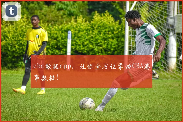 cba数据app，让你全方位掌控CBA赛事数据！