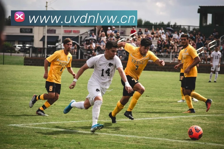 数据防护可视化